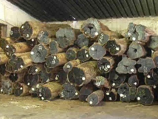 10. Grading of logs ABW AA