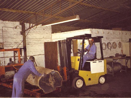 Positioning log on horizontal band saw