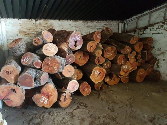 wooden logs in storage