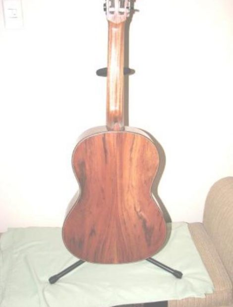 Mopane guitar back Canal's first guitar