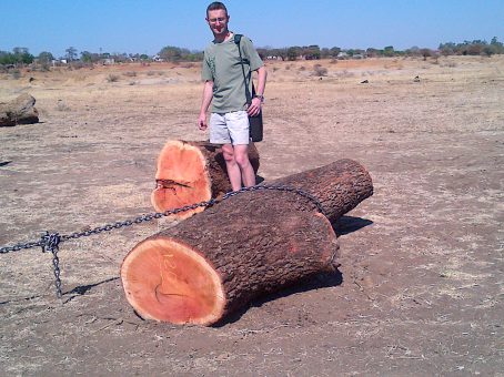 red ivory logs