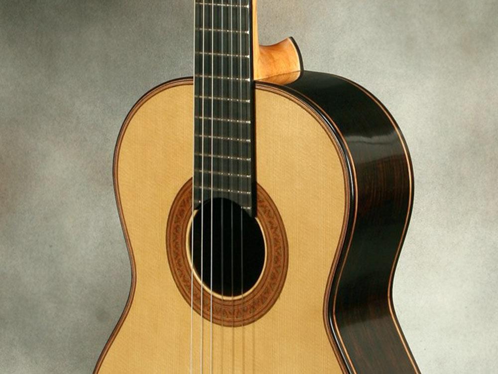 ProSono hardwoods guitar