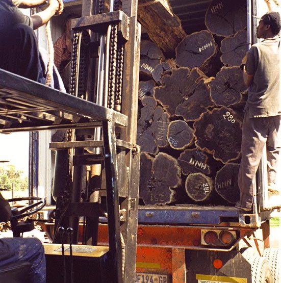 factory process African Blackwood