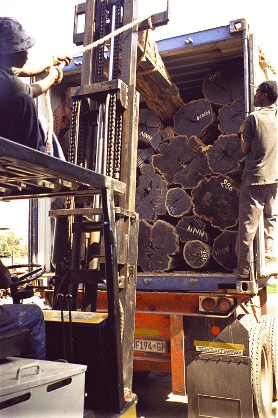 processus d'usine African Blackwood