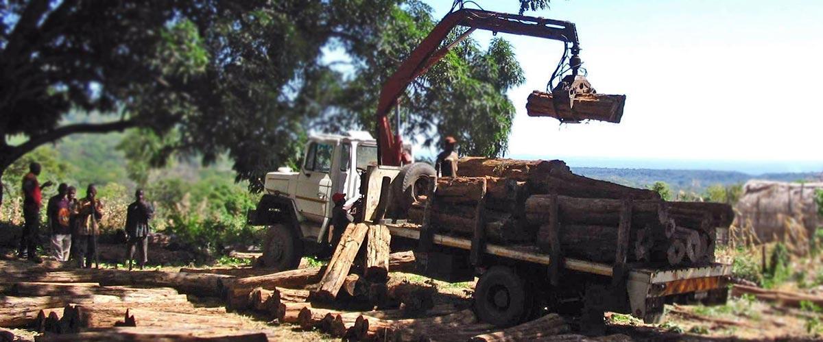 First transport from tanzanian border transport with Samil army truck