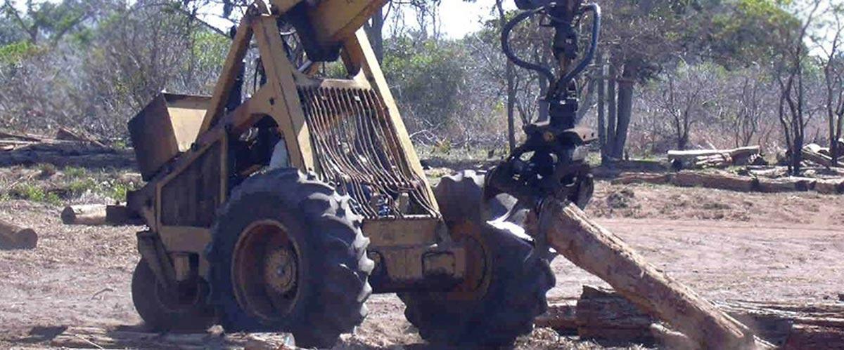 Grading of logs at collection point