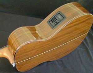 bois de tonte pour les guitares