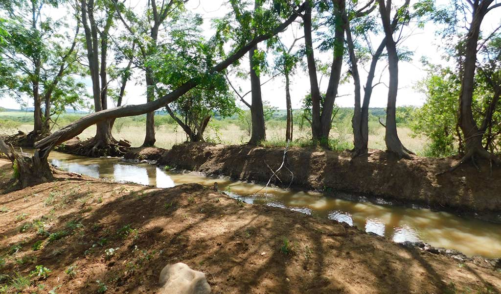 rural irrigation canals