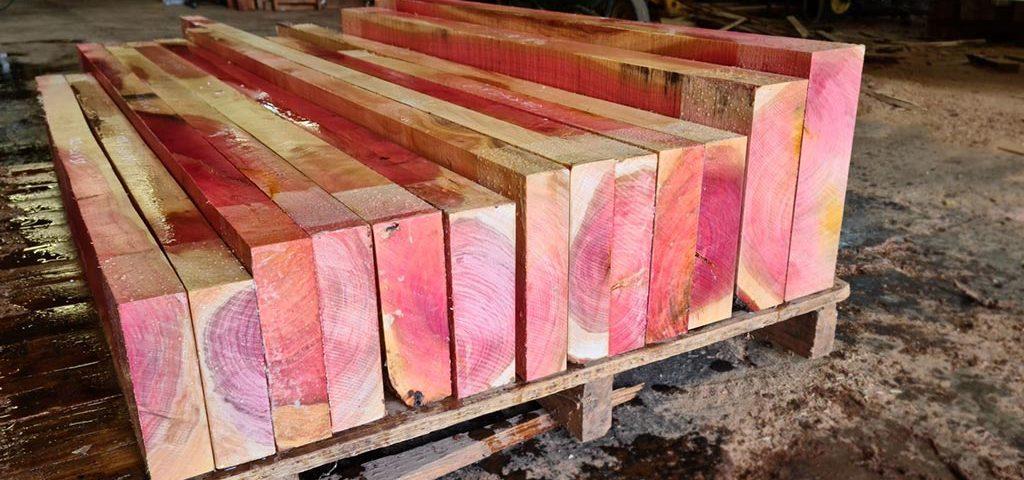 ProSono’s approach to sustainable hardwood supply