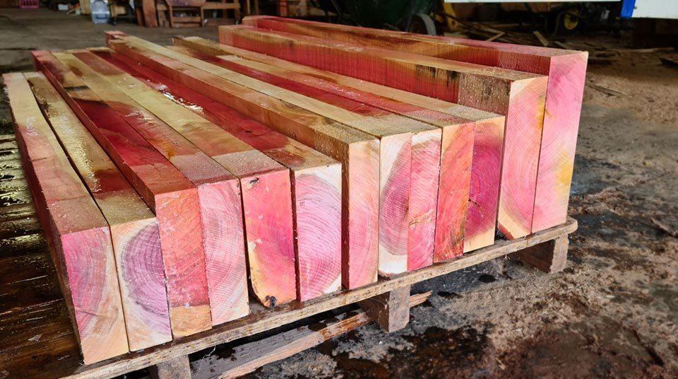 ProSono’s approach to sustainable hardwood supply