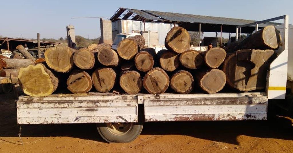CITES status of African leadwood