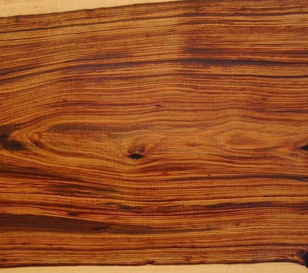African cocobolo wood (tambotie) exotic wood for projects