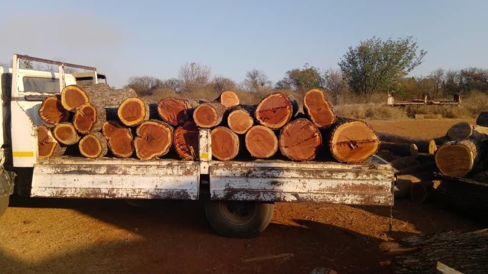 Prime mopane logs