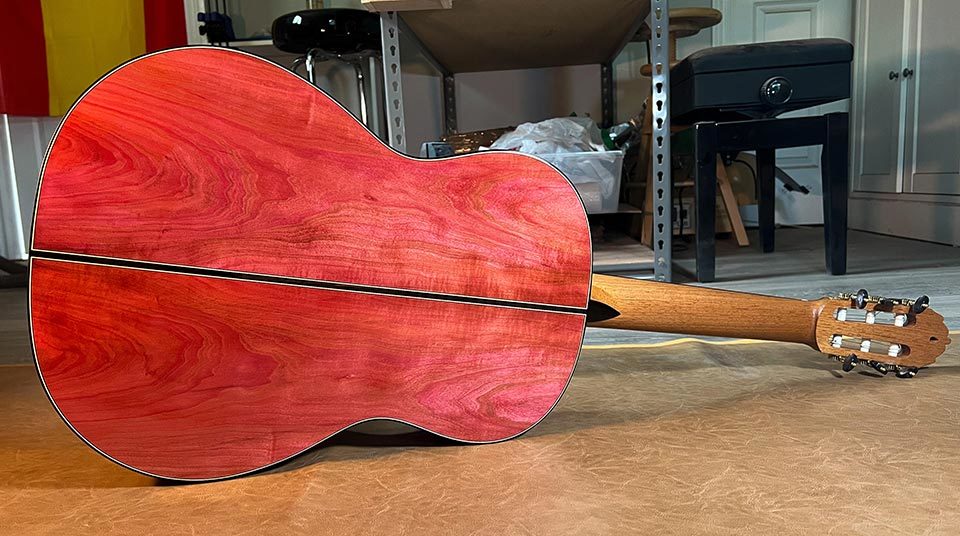 A beautiful acoustic guitar with red ivory back and sides